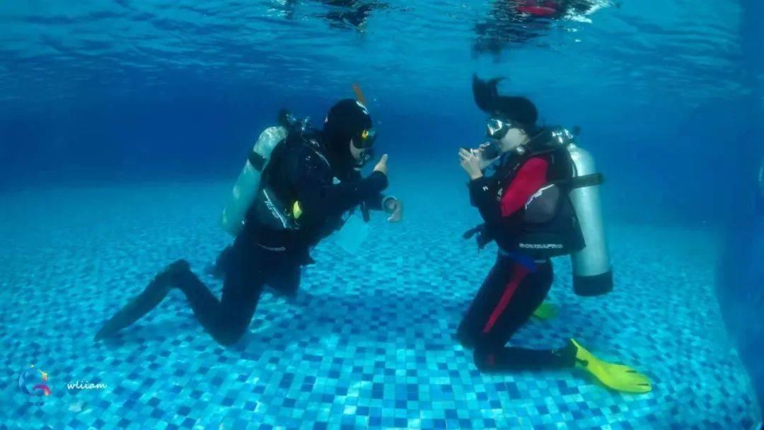 《这个杀手不太冷》为什么要安排里昂死的结局?-国内知名红迪网平台